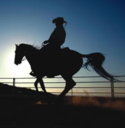 Heiting typically relaxes in the saddle of one of his six Tennessee Walkers.