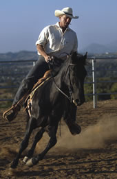 Jim Heiting, the State Bar’s 81st president, rides Man of Rain, one
  of his prized Tennessee Walkers.